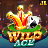Wild Ace at Juan Bingo